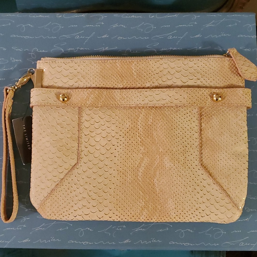 Faux snakeskin clutch by The Limited